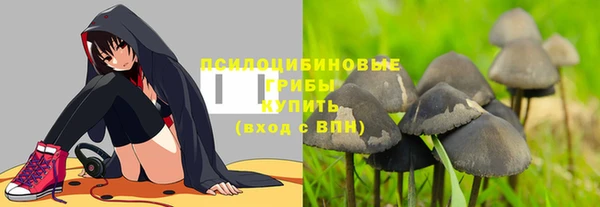 хмурый Болохово
