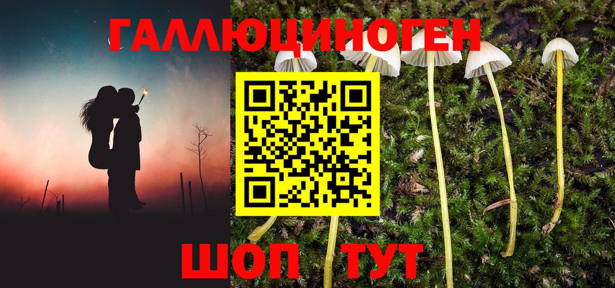 Псилоцибиновые грибы GOLDEN TEACHER Унеча