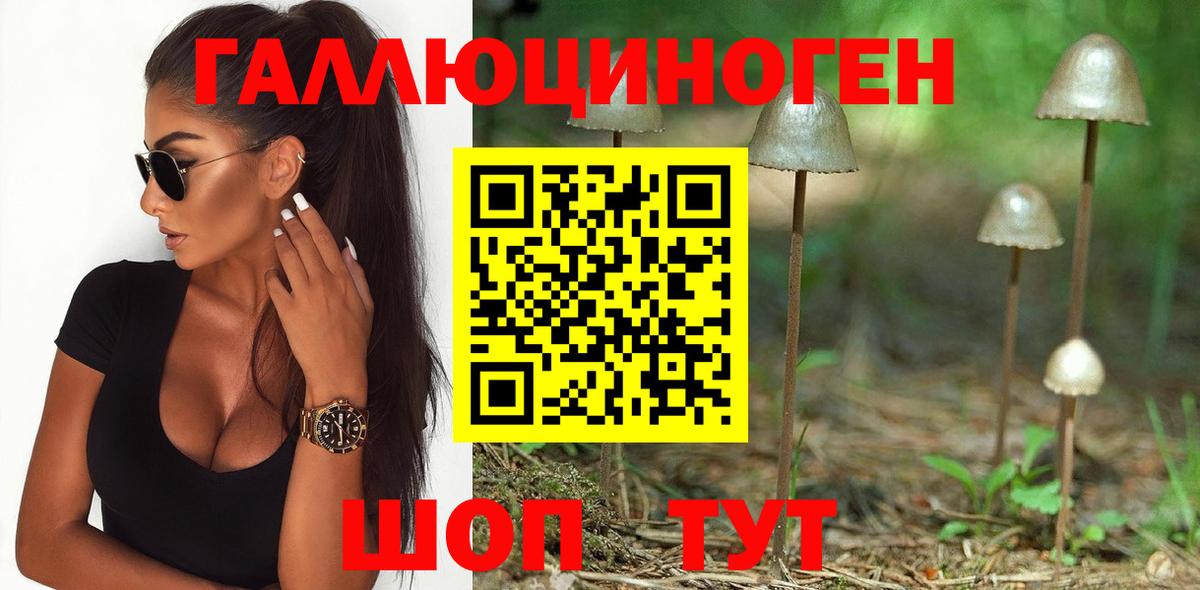 Унеча  Псилоцибиновые грибы мухоморы  Вход с VPN  Псилоцибиновые грибы ЛСД 